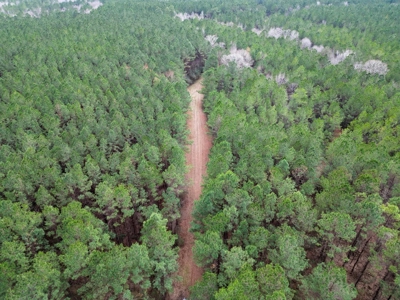 48 Acres Land for Sale with Timber and Pond Southwest MS - image 6