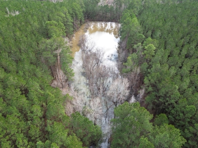 48 Acres Land for Sale with Timber and Pond Southwest MS - image 3