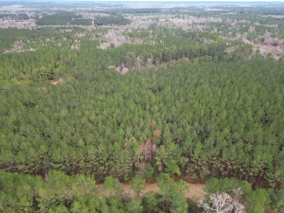 48 Acres Land for Sale with Timber and Pond Southwest MS - image 8