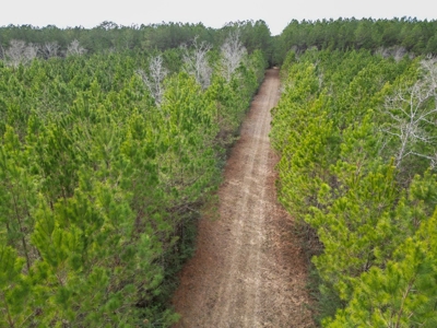 48 Acres Land for Sale with Timber and Pond Southwest MS - image 5