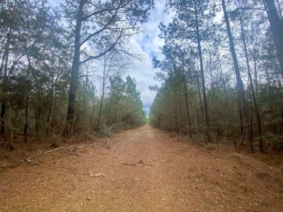 48 Acres Land for Sale with Timber and Pond Southwest MS - image 26
