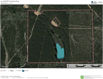 48 Acres Land for Sale with Timber and Pond Southwest MS - image 33