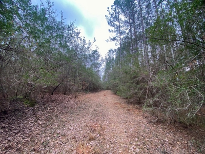 48 Acres Land for Sale with Timber and Pond Southwest MS - image 23