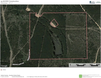 48 Acres Land for Sale with Timber and Pond Southwest MS - image 32