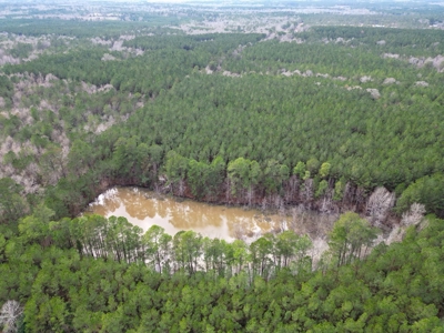 48 Acres Land for Sale with Timber and Pond Southwest MS - image 4