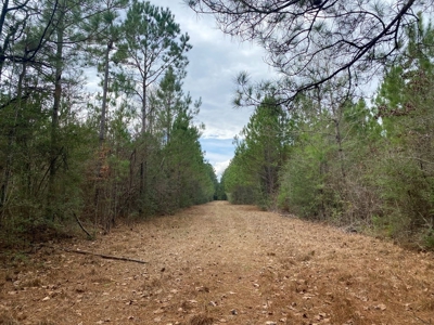 48 Acres Land for Sale with Timber and Pond Southwest MS - image 27