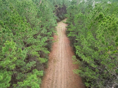 48 Acres Land for Sale with Timber and Pond Southwest MS - image 7