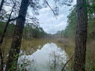 48 Acres Land for Sale with Timber and Pond Southwest MS - image 24
