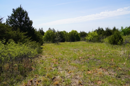 Recreational Hunting Property Near Bell Cow Lake For Sale - image 13