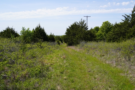 Recreational Hunting Property Near Bell Cow Lake For Sale - image 14