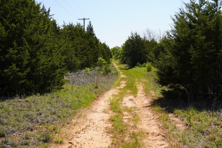 Recreational Hunting Property Near Bell Cow Lake For Sale - image 15