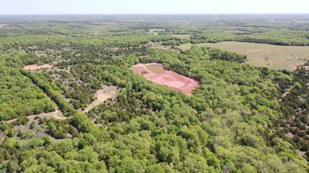 Recreational Hunting Property Near Bell Cow Lake For Sale - image 5