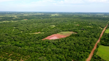 Recreational Hunting Property Near Bell Cow Lake For Sale - image 22