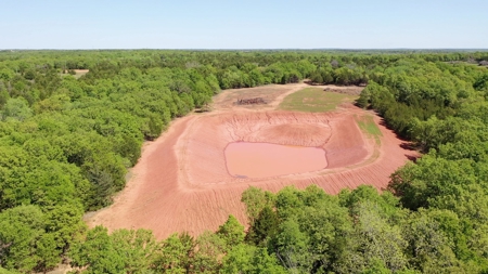 Recreational Hunting Property Near Bell Cow Lake For Sale - image 6