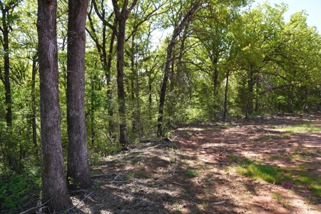Recreational Hunting Property Near Bell Cow Lake For Sale - image 16