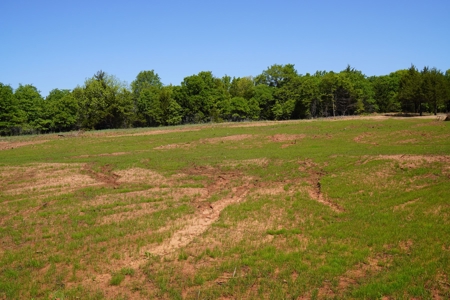 Recreational Hunting Property Near Bell Cow Lake For Sale - image 8