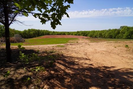Recreational Hunting Property Near Bell Cow Lake For Sale - image 9