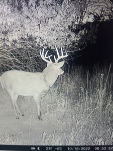 Madison County, Iowa Recreational – Hunting Land for Sale - image 37