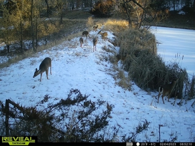 Madison County, Iowa Recreational – Hunting Land for Sale - image 29