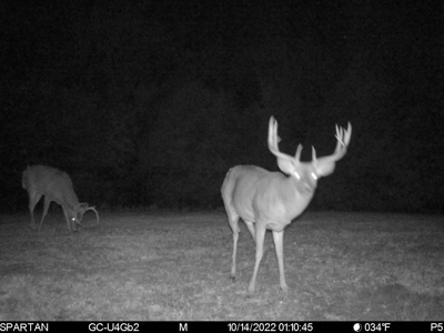 Madison County, Iowa Recreational – Hunting Land for Sale - image 22