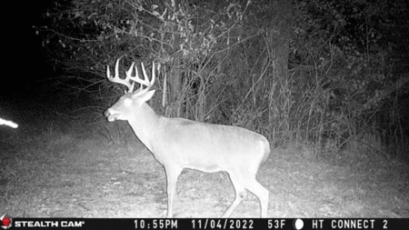 Madison County, Iowa Recreational – Hunting Land for Sale - image 21