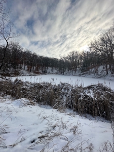 Madison County, Iowa Recreational – Hunting Land for Sale - image 12