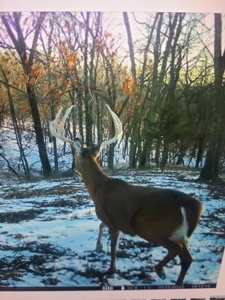 Madison County, Iowa Recreational – Hunting Land for Sale - image 36