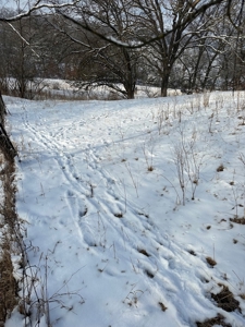 Madison County, Iowa Recreational – Hunting Land for Sale - image 10