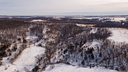 Madison County, Iowa Recreational – Hunting Land for Sale - image 6