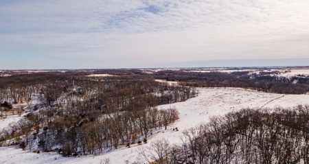Madison County, Iowa Recreational – Hunting Land for Sale - image 7