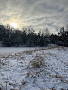 Madison County, Iowa Recreational – Hunting Land for Sale - image 9