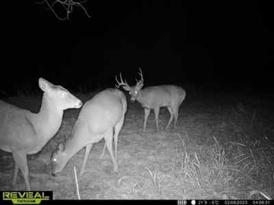 Madison County, Iowa Recreational – Hunting Land for Sale - image 19