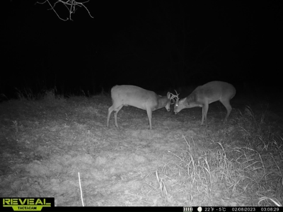 Madison County, Iowa Recreational – Hunting Land for Sale - image 26