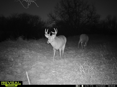 Madison County, Iowa Recreational – Hunting Land for Sale - image 30