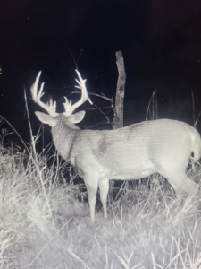 Madison County, Iowa Recreational – Hunting Land for Sale - image 38