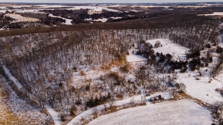 Madison County, Iowa Recreational – Hunting Land for Sale - image 4