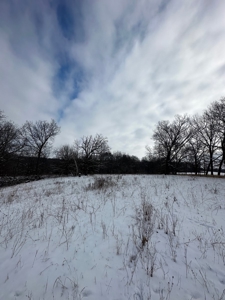 Madison County, Iowa Recreational – Hunting Land for Sale - image 15