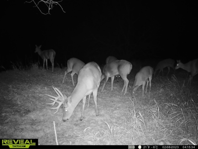 Madison County, Iowa Recreational – Hunting Land for Sale - image 27