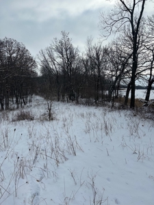 Madison County, Iowa Recreational – Hunting Land for Sale - image 14