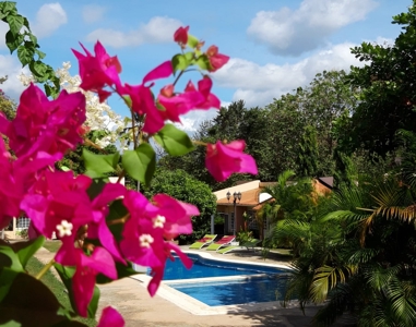 Open Concept home with garden, pool and cozy social areas - image 16