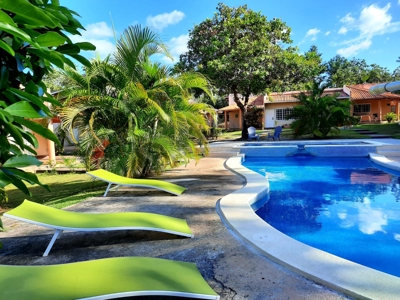 Open Concept home with garden, pool and cozy social areas - image 5