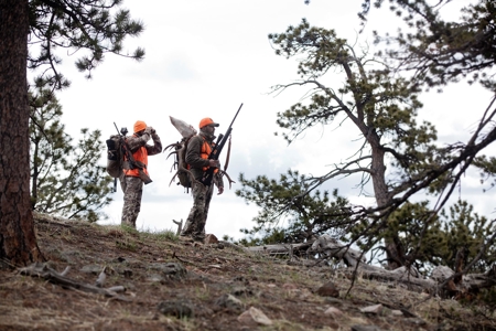 Colorado Mountain Resort - image 35