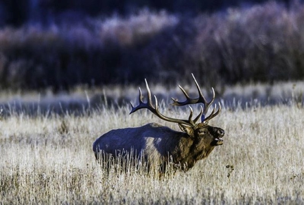 Colorado Mountain Resort - image 33
