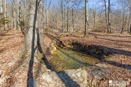 Mountain Cabin in Polk County Arkansas - image 15