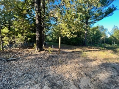 East Texas Recreational Timberland For Sale - image 7