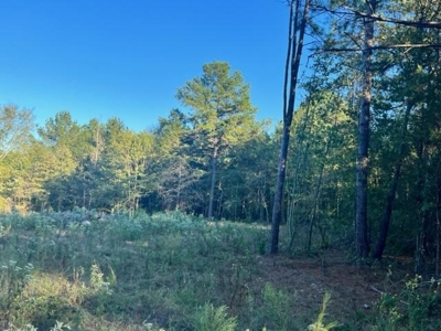East Texas Recreational Timberland For Sale - image 2