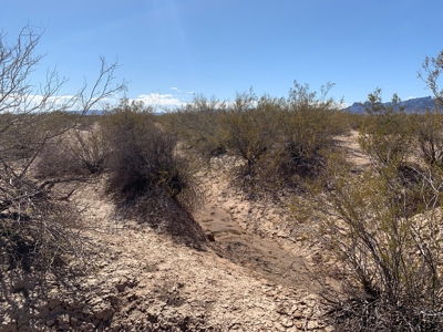 80 Acres Bouse, Arizona LaPaz County Acreage - image 7