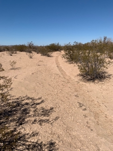 80 Acres Bouse, Arizona LaPaz County Acreage - image 8