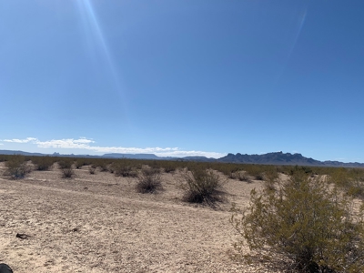80 Acres Bouse, Arizona LaPaz County Acreage - image 2