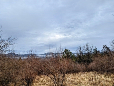 ** PENDING ** Land Adjoining National Forest for Sale - image 31